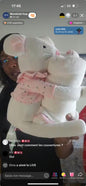 Peluche/couverture obaibi